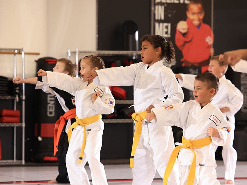 Kids Martial Arts in Holland