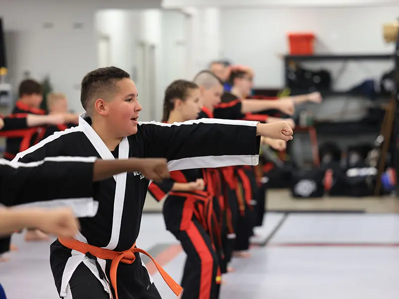 Teen Martial Arts in Holland